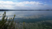 IMG_20180708_080659.jpg